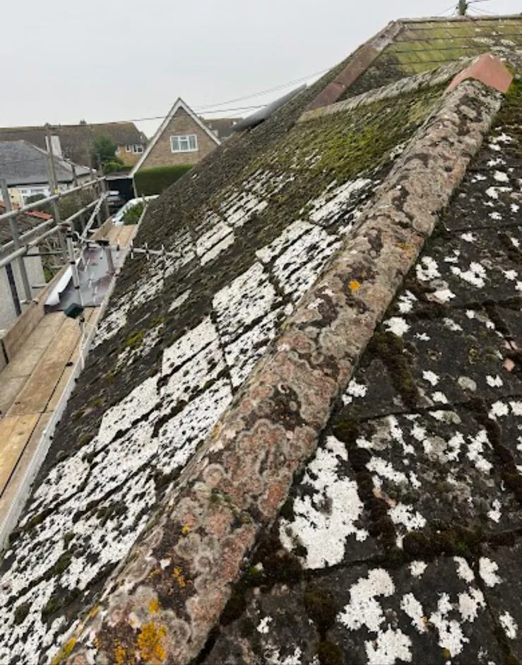 Old tiled roof with lichen and worn hip tiles