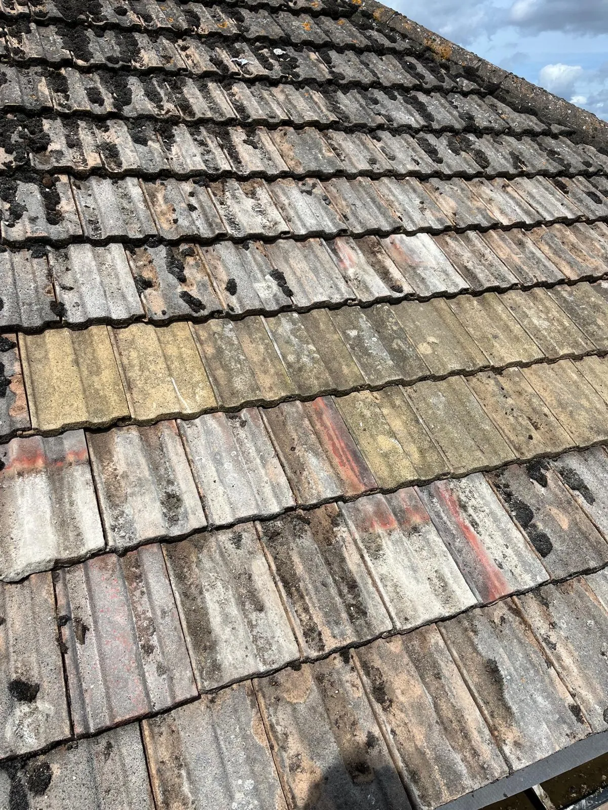 A row of odd tiles in an older tiled roof